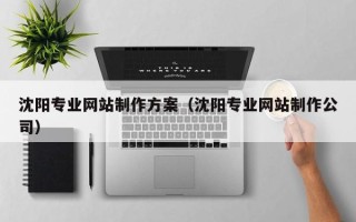 北海沈阳专业网站制作方案（沈阳专业网站制作公司）